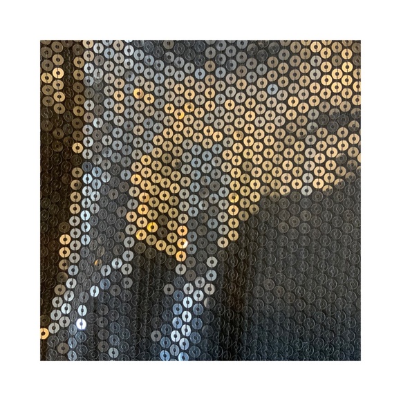 Robert Rodriguez 100% Silk Sequin Dress - Picture 10 of 10